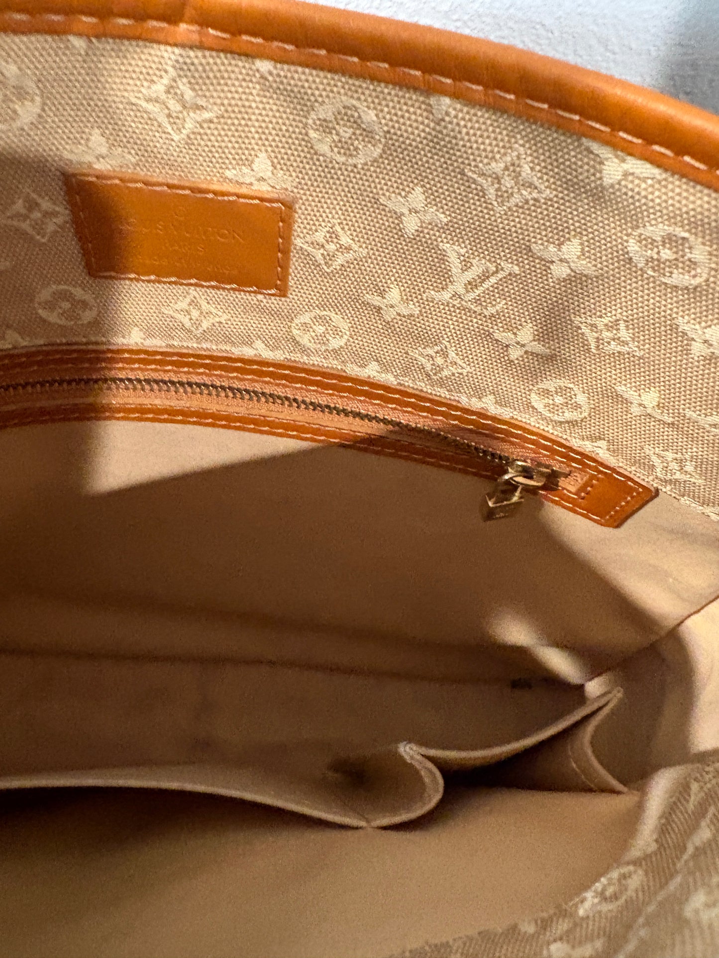 Louis Vuitton Monogram Mini Lin