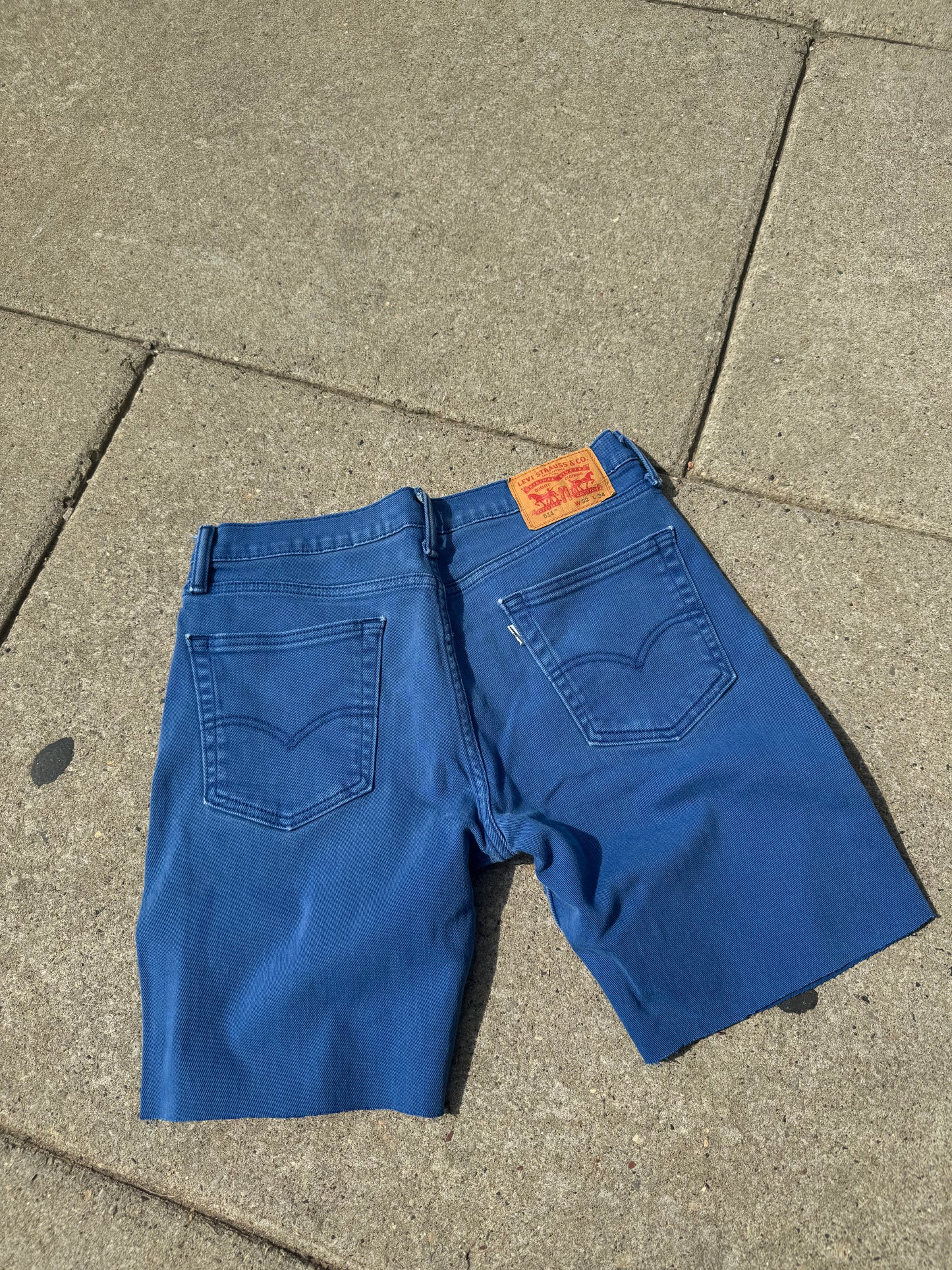 Blue Levi Jorts